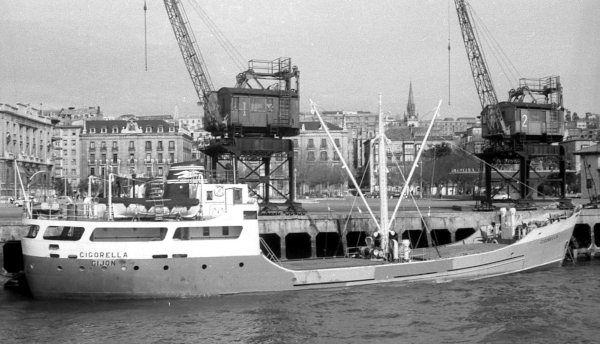 Cigorella por T. Diedrich Cigorella por T. Diedrich